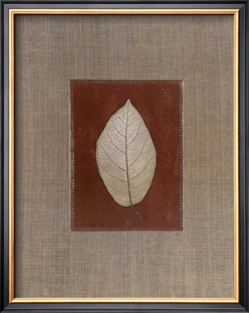 Silver Leaf I by Franco D'ottore Pricing Limited Edition Print image