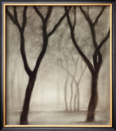 Forest Iv by Hess Pricing Limited Edition Print image