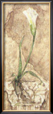 Tuscan Calla Lily by Deborah K. Ellis Pricing Limited Edition Print image