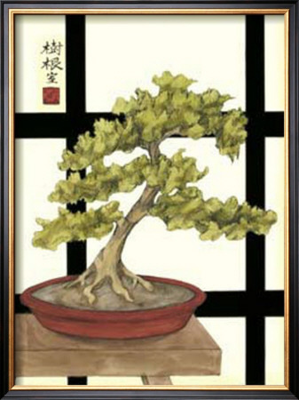 Zen Bonsai Iii by Jennifer Goldberger Pricing Limited Edition Print image