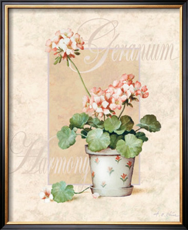 Geranium by T. C. Chiu Pricing Limited Edition Print image