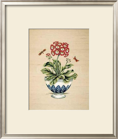 Auricula Serendipity by P. Bowden Pricing Limited Edition Print image