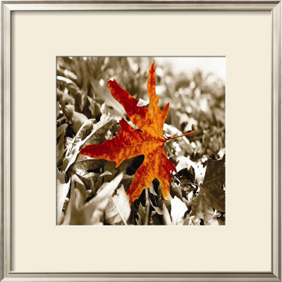 Maple Syrupy by Steven Mitchell Pricing Limited Edition Print image