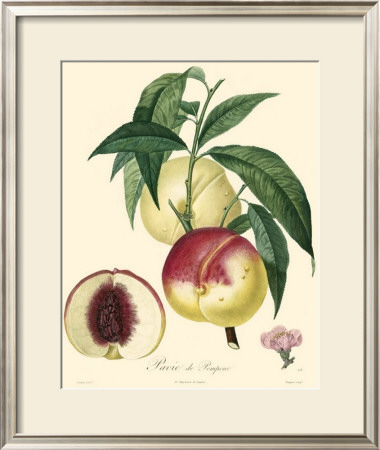 Peaches by Bessa Pricing Limited Edition Print image