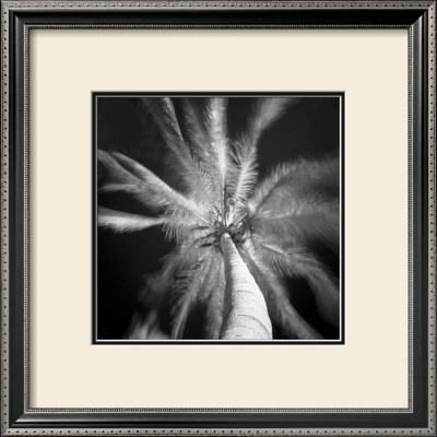 Palm Tree I by Jean-François Dupuis Pricing Limited Edition Print image