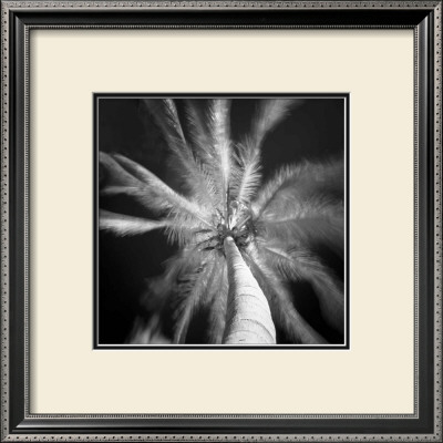 Palm Tree I by Jean-Francois Dupuis Pricing Limited Edition Print image