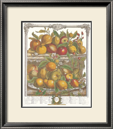 Twelve Months Of Fruits, 1732, April by Robert Furber Pricing Limited Edition Print image
