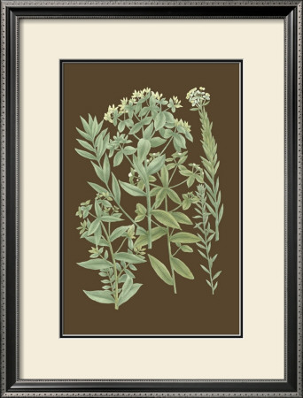 Organic Greenery I by Johann Wilhelm Weinmann Pricing Limited Edition Print image