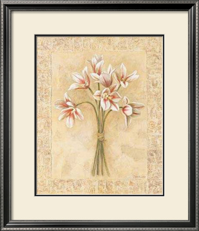 White Striped Tulips by Debra Lake Pricing Limited Edition Print image