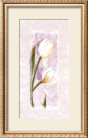 Tulip Shadows Ii by Olivia Celest Blanchard Pricing Limited Edition Print image