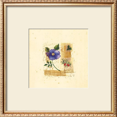 Flower Notes With Blue Poppy by Audra Chaitram Pricing Limited Edition Print image