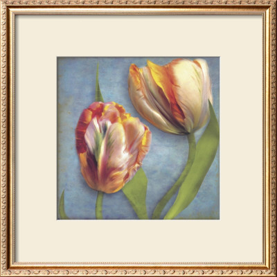 Parrot Tulips I by Sally Wetherby Pricing Limited Edition Print image