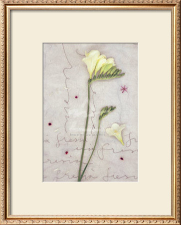 Freesia by Kidney Pricing Limited Edition Print image