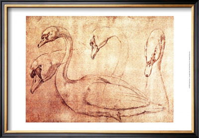 Sepia Swan Study by Jean-Baptiste Oudry Pricing Limited Edition Print image
