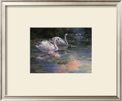 Swans And Waterfall by T. C. Chiu Pricing Limited Edition Print image