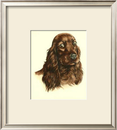 Red Cocker Spaniel by Danchin Pricing Limited Edition Print image