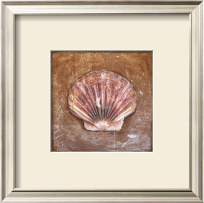 Sea Shell by T. C. Chiu Pricing Limited Edition Print image