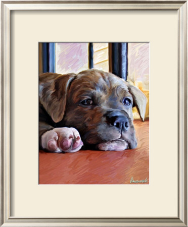 Kratos Baby Pit Bull by Robert Mcclintock Pricing Limited Edition Print image