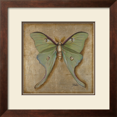 Luna Moth by Patricia Quintero-Pinto Pricing Limited Edition Print image