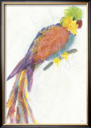 Parrot Extraordinaire by Flavia Weedn Pricing Limited Edition Print image