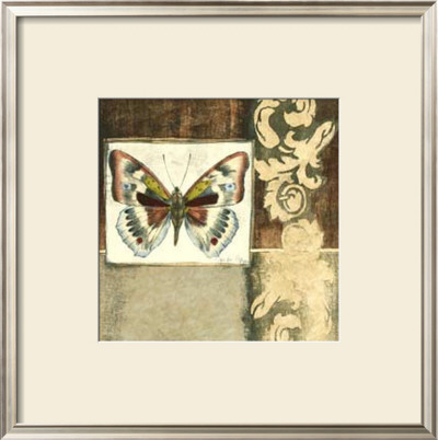 Butterfly Collage Iv by Jennifer Goldberger Pricing Limited Edition Print image