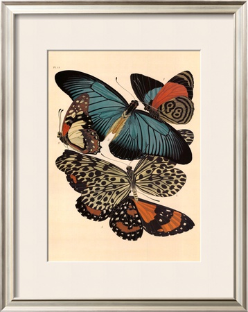 Butterflies I by E. A. Seguy Pricing Limited Edition Print image