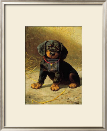 Puppy by H. Sperling Pricing Limited Edition Print image