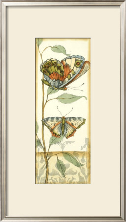 Tandem Butterflies Iii by Jennifer Goldberger Pricing Limited Edition Print image