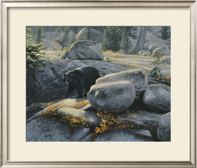 Boulder Bruin by Stephen Lyman Pricing Limited Edition Print image