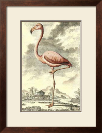 Antique Flamingo by J.E. Deseve Pricing Limited Edition Print image