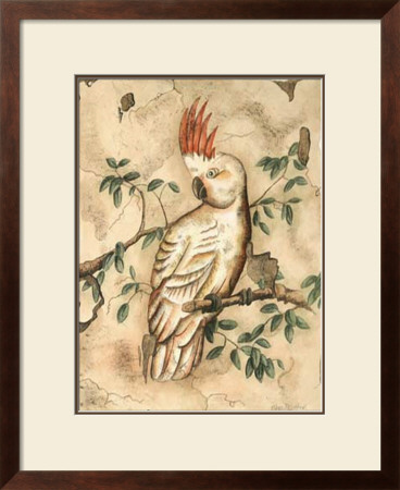 Cockatoo Fresco I by Meagher Pricing Limited Edition Print image