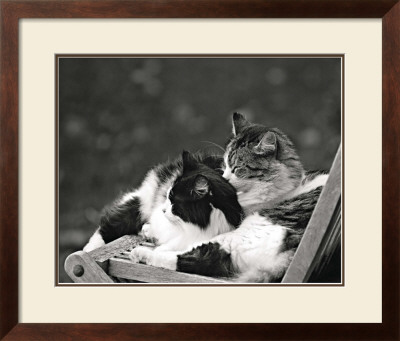 Little Nap In The Sun by Maurice Subervie Pricing Limited Edition Print image