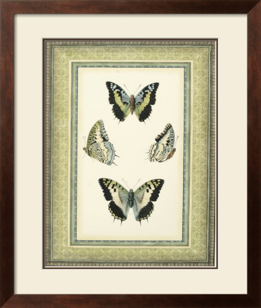 Papilio Collection Ii by Lebrun Pricing Limited Edition Print image