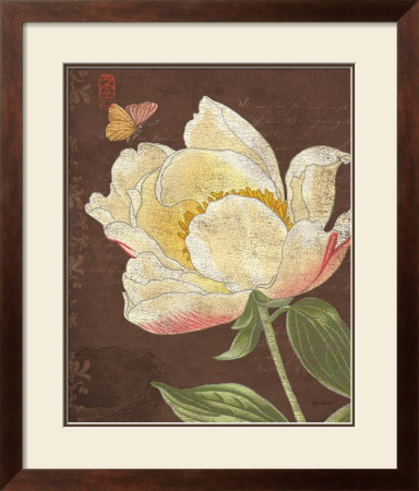 Garden Peony Ii by Katie Pertiet Pricing Limited Edition Print image