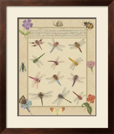 Dragonfly Manuscript Ii by Jaggu Prasad Pricing Limited Edition Print image
