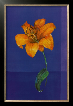 Flower On Blue by Paul Hargittai Pricing Limited Edition Print image