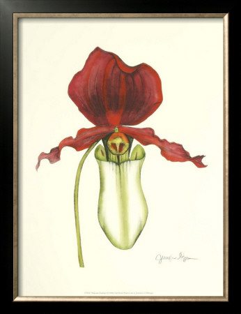Majestic Orchid I by Jennifer Goldberger Pricing Limited Edition Print image