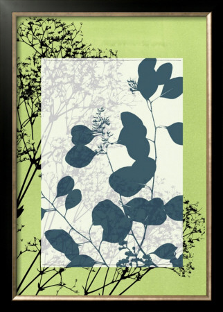 Translucent Wildflowers Viii by Jennifer Goldberger Pricing Limited Edition Print image