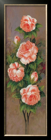 Branch Of Pink Roses I by John Douglas Pricing Limited Edition Print image