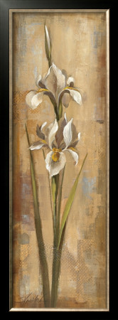 Floral Grace Ii by Silvia Vassileva Pricing Limited Edition Print image