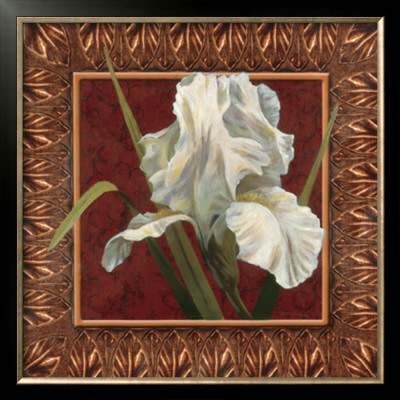 Iris In Red And Gold by T. C. Chiu Pricing Limited Edition Print image