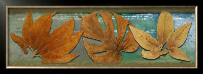 Leaf Panel Iii by Patricia Quintero-Pinto Pricing Limited Edition Print image
