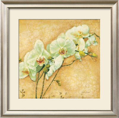 Elegante Orchidea by Matina Theodosiou Pricing Limited Edition Print image