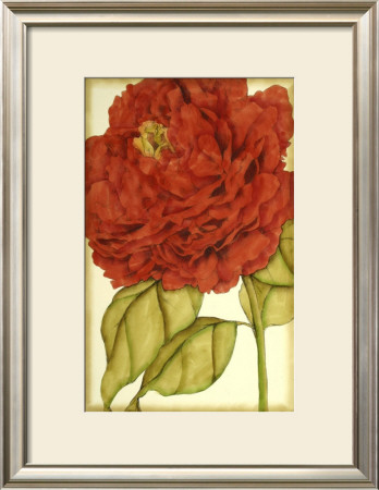 Ruby Blooms Ii by Jennifer Goldberger Pricing Limited Edition Print image