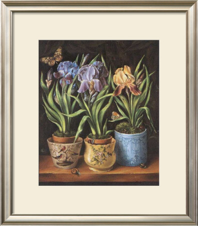 Pots With Narcissus by Milieu Du Ciel Pricing Limited Edition Print image