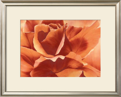 Full In Bloom Ii by Yvonne Poelstra Holzhaus Pricing Limited Edition Print image
