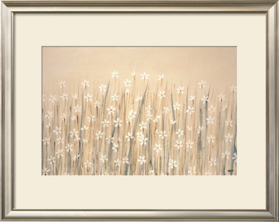 Field Of Starry White Flowers by Simon Fairless Pricing Limited Edition Print image
