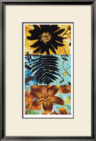 Petals And Leaves Ii by Jaquiel Pricing Limited Edition Print image