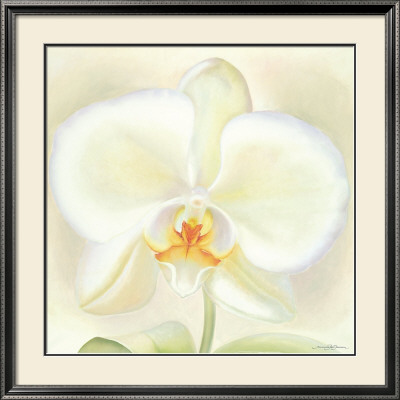Orchid Beauty by Annemarie Peter-Jaumann Pricing Limited Edition Print image