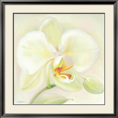Orchid Poetry by Annemarie Peter-Jaumann Pricing Limited Edition Print image